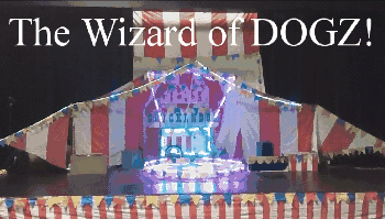 This is what the show looks like before we even get the Six Dogs And Singing Scarlet Macaw in the Picture!
