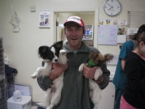 The great staff at Animal Trustees of Austin offered to take this picture of me with the Pupillons before their surgery.