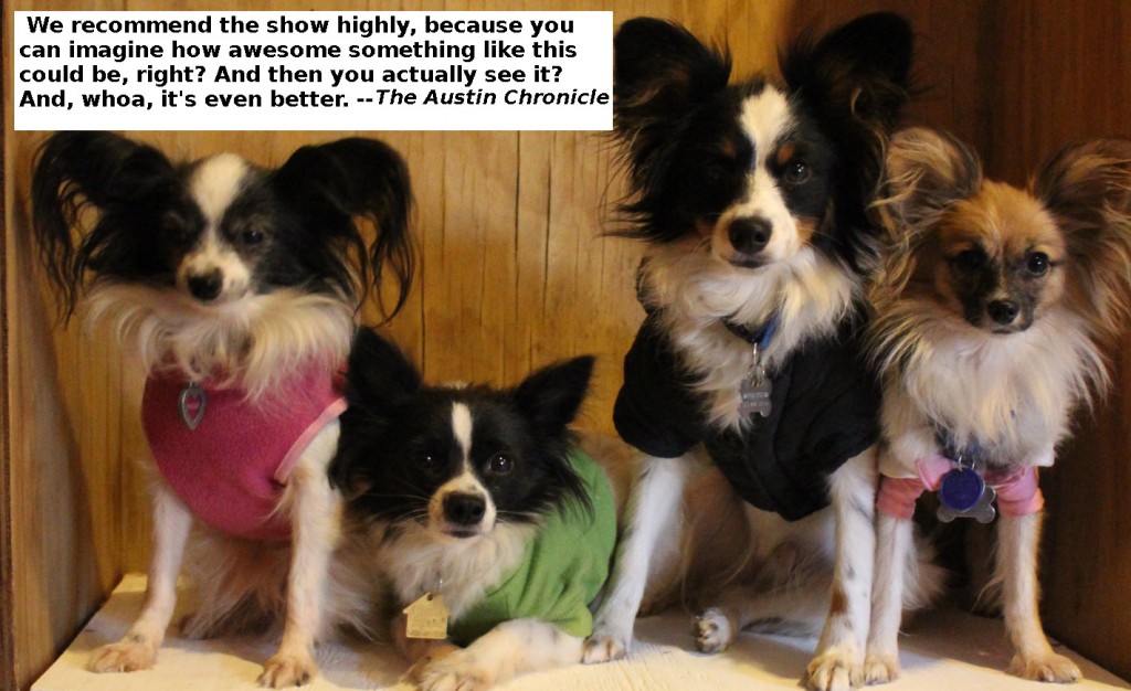 The Pup-illons were "All Ears" when I read them this quote from the Austin Chronicle.