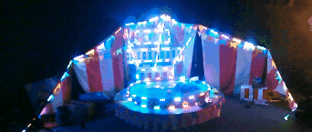 2016_mutt_set